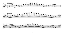 Fluteschumlute