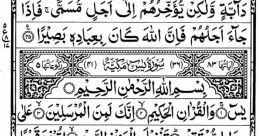 Yaseen Elpeah