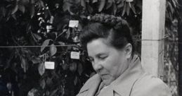 Евгения Андреева