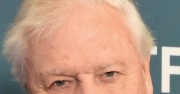 Sir David Attenborough (V2)