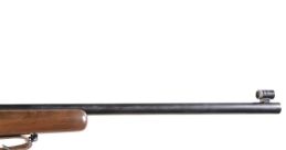 Test Model 513 (Spanish)