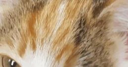 CATEIN