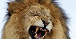 TheLaughingLion