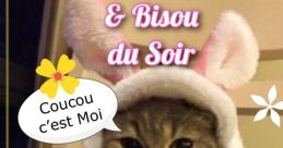 Fais bizous