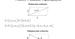 Wektor