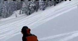 DeepSnow VIP