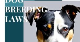 The Canine Code