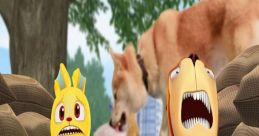 Dawg TV
