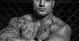 Fernando rodrigues