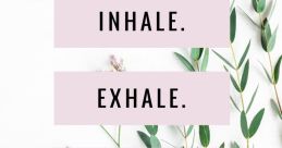 Exhale