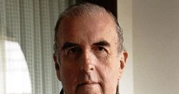 Carlos Raúl Sanjur Rosario