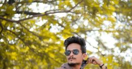 Rohi