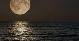 AY LUNAR