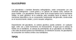 Cristhian Felipe