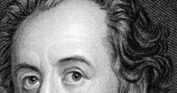Johan wolfgang von goethe