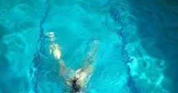 Immerse
