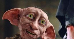 Dobby Potter