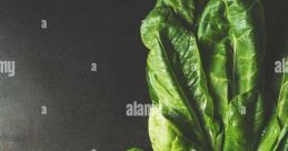 LeafBeats