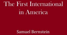 Sam Bernstein