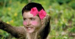 Dgensen aklz