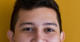 Diego Alejandro Ayerdi Soto