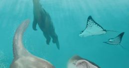 Sea Sloths369