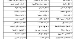 معن