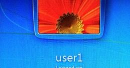 user 1