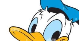 Donald2407