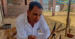 Anil Bishnoi