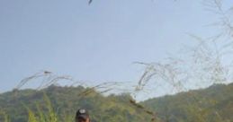 KASU 05 (HIP-HOP ARTIST)