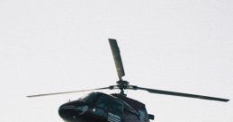 Heli gavela