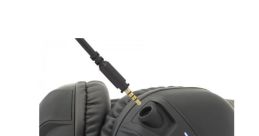 Fansharkaudio264