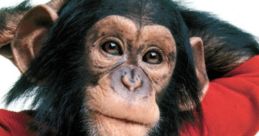 Monkeying Around The Jenkem Factory