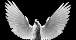 Fike Dove