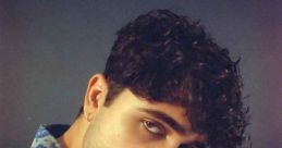 Dhruv Mehrish