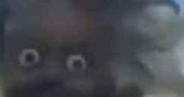 DEMONSHYNE2