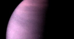 Venus N