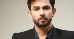 Ali Ansari