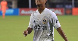 Jose efrain alvarez paucar