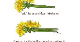 Lawn Ask | Home - Lawn Ask