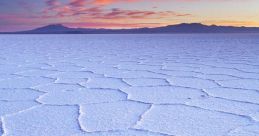 SALAR
