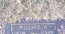 William Laudon