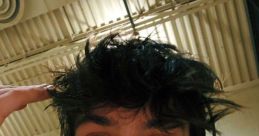 Laxtoboy