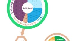 Toprak