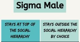What The Sigma
