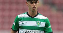 Rodrigo Ribeiro