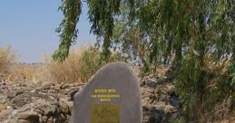 Bethsaida Aime A13
