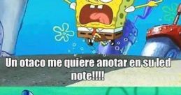 Miguel_Otaco