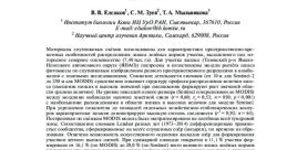 Vladimir Elsakov